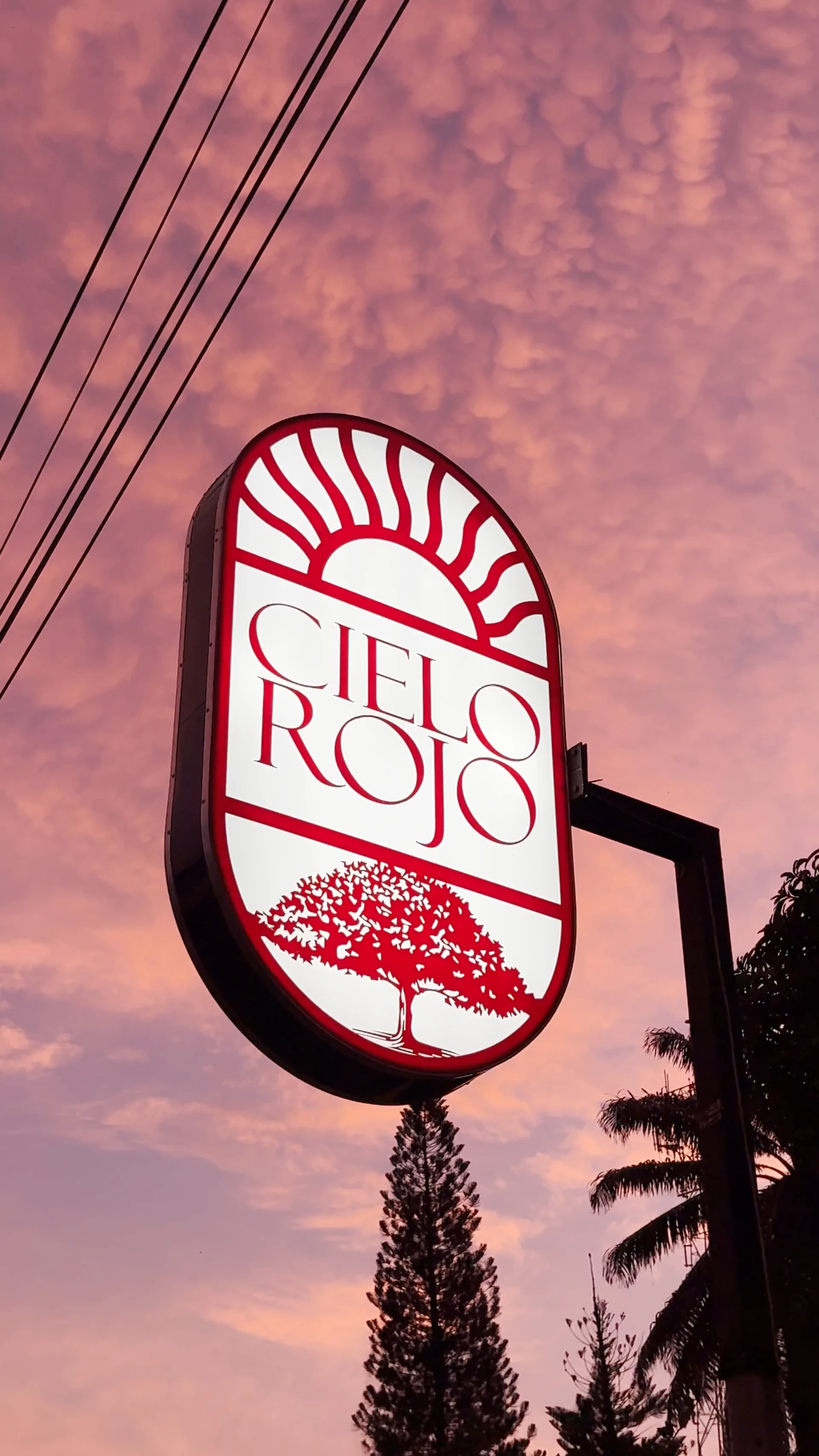 El letrero de Cielo Rojo se ilumina entre árboles y palmas al atardecer. Video original entregado para el proyecto.